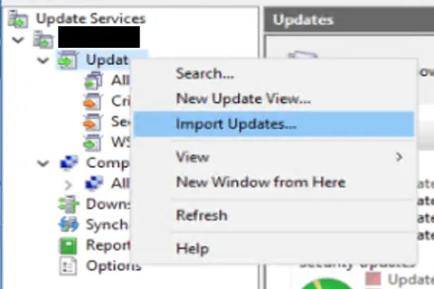 WSUS console